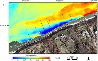 A State-Of-The-Art Perspective on the Characterization of Subterranean Estuaries at the Regional Scale